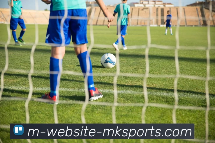 MK体育品牌故事