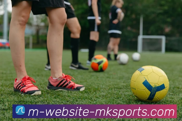 MK体育服务体系